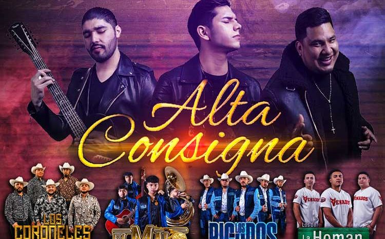  Alta Consigna – Candela