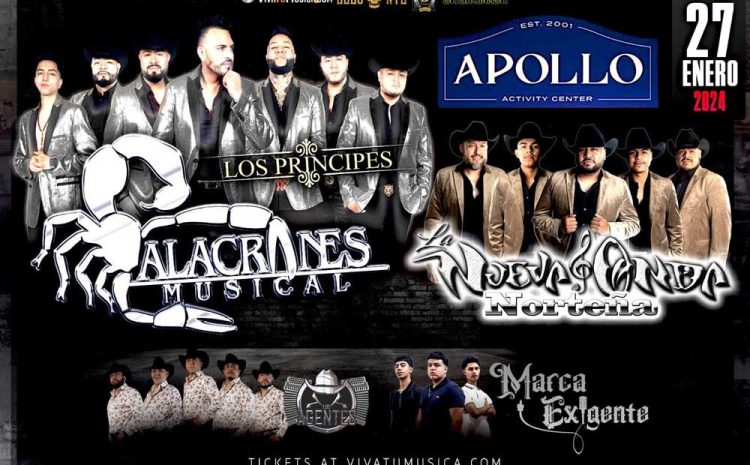  Alacranes Musical – Apollo