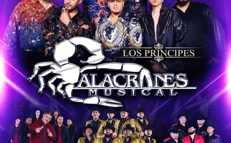  Alacranes Musical – Candela