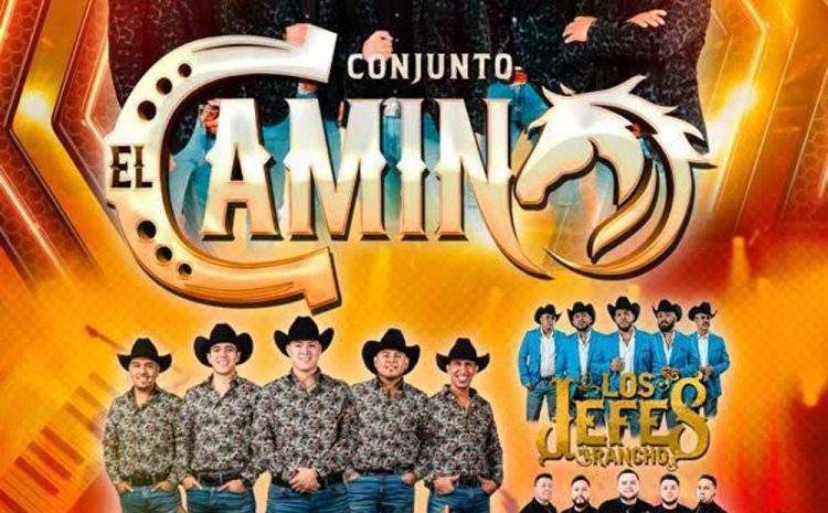  Conjunto El Camino – Apollo
