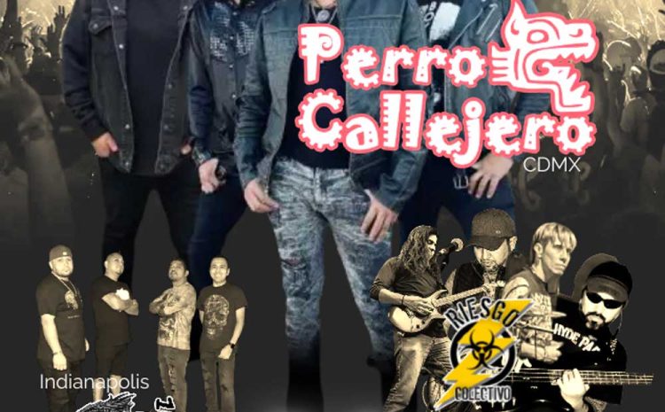  Perro Callejero – Mansion Nightclub