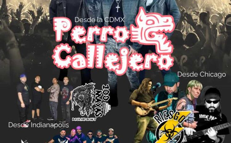  Perro Callejero – Terramar
