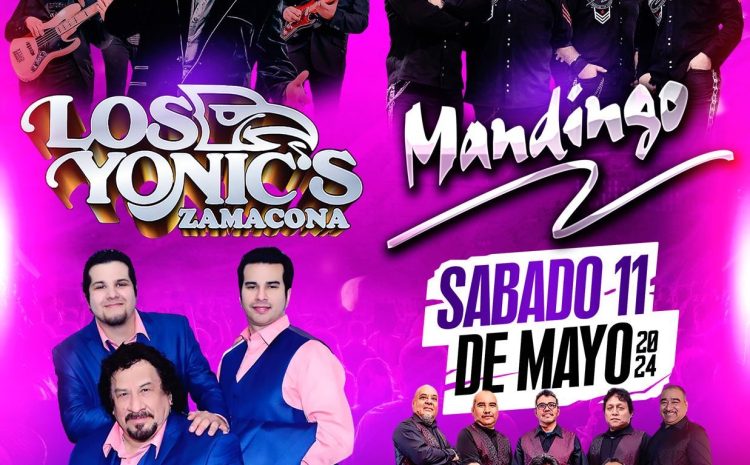  Mandingo – Lakehurst