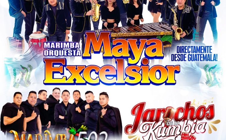  Maya Excelsior – Candela