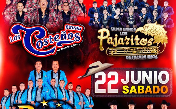  Super Banda Los Pajaritos – Estrellas del Millenium