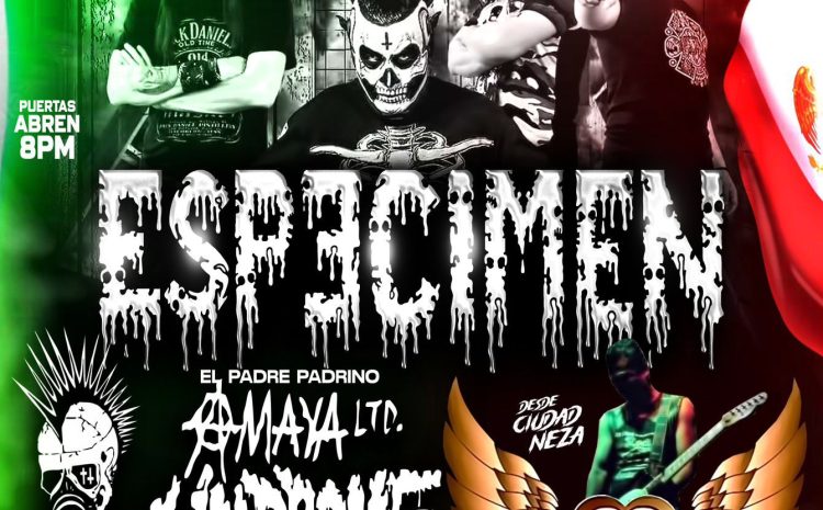  Mexicanos al Grito de Rock Punk – Distro