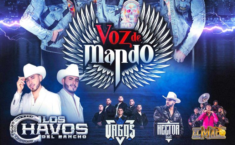  Voz de Mando – Mansion