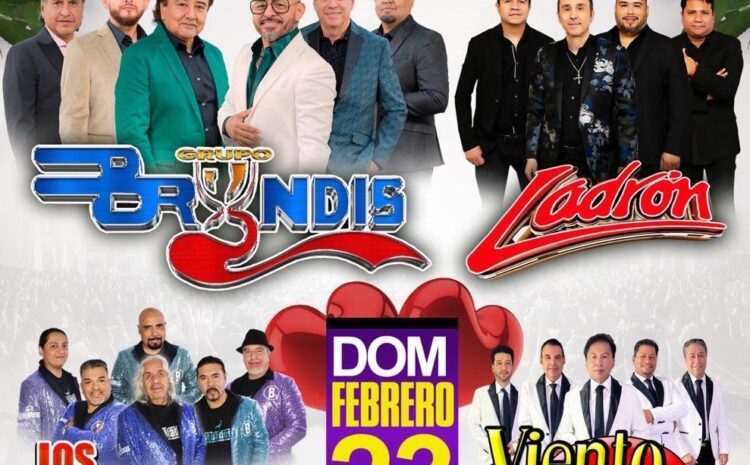  Grupo Bryndis – Candela