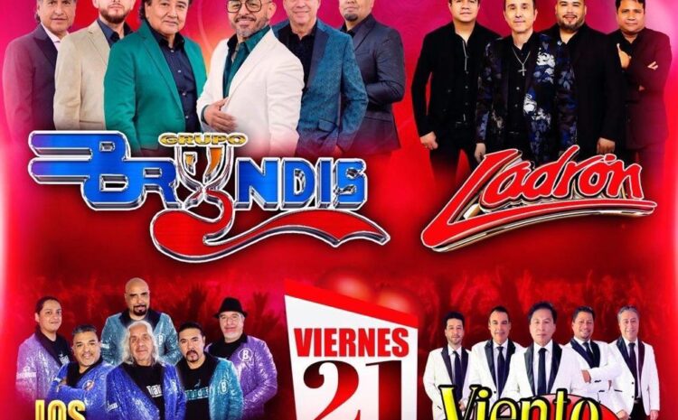  Grupo Bryndis – Estrellas del Millenium