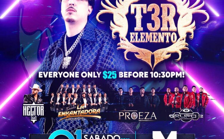  T3R Elemento – Mansion