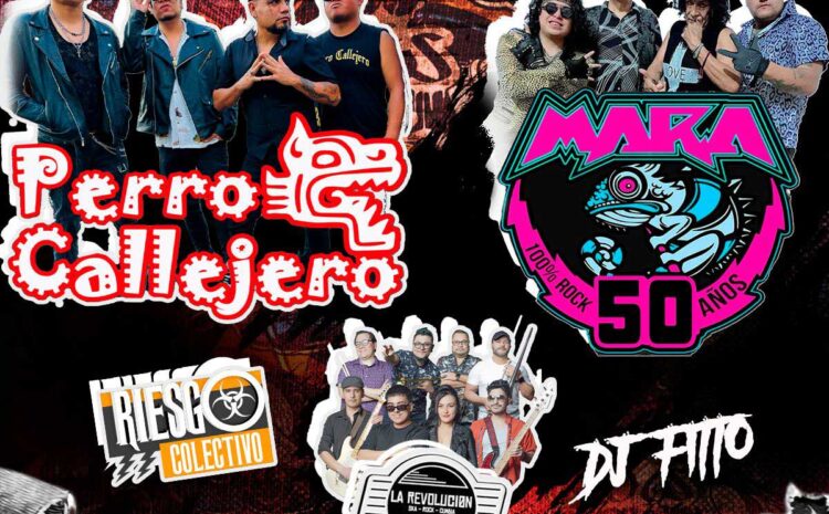  Perro Callejero – Candela