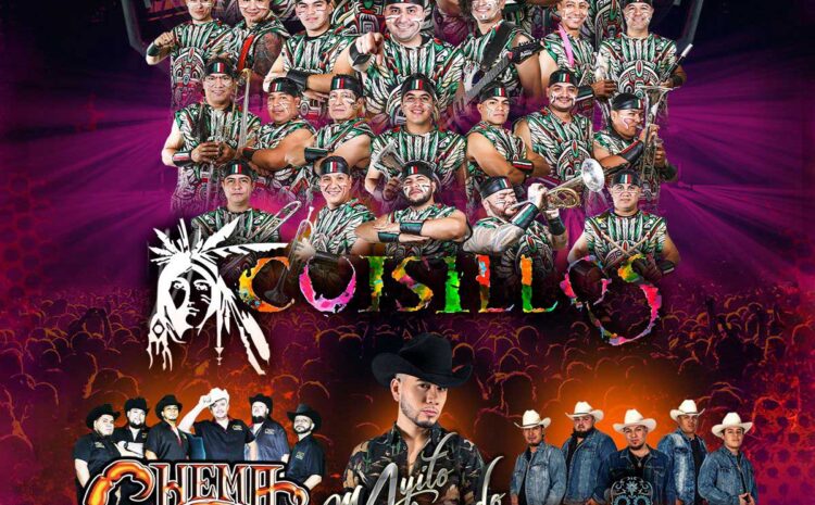  Banda Cuisillos – Los Globos