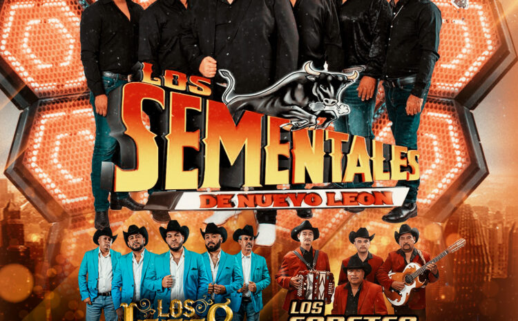  Los Sementales de Nuevo Leon – Mi Vallarta