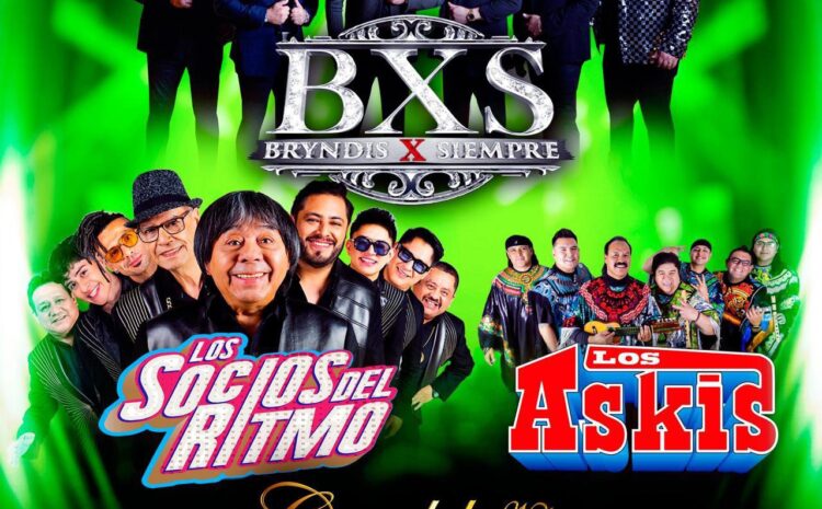  BXS Bryndis X Siempre – Candela