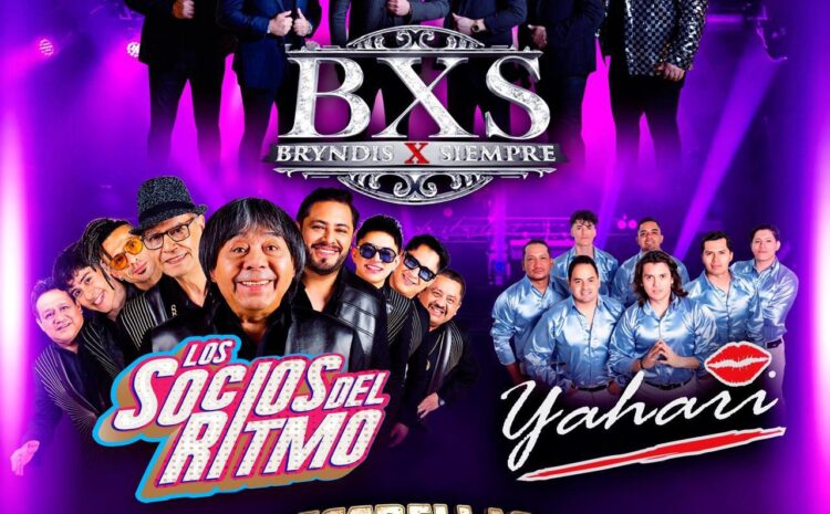  BXS Bryndis X Siempre  – Estrellas del Millenium