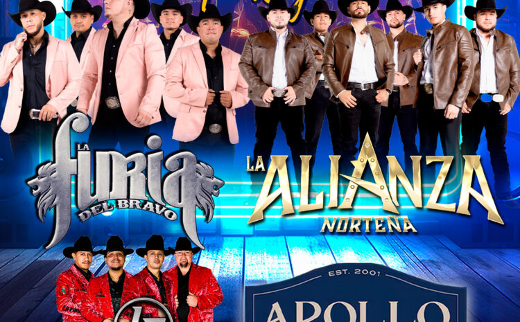  Furia del Bravo –  Apollo