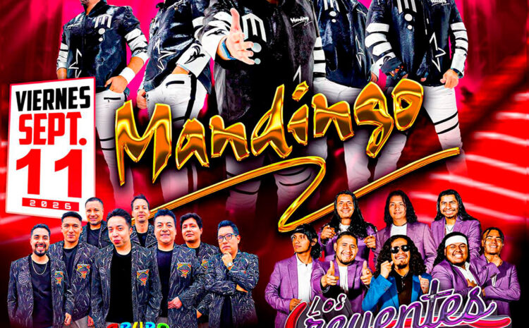  Mandingo – Azteca de Oro