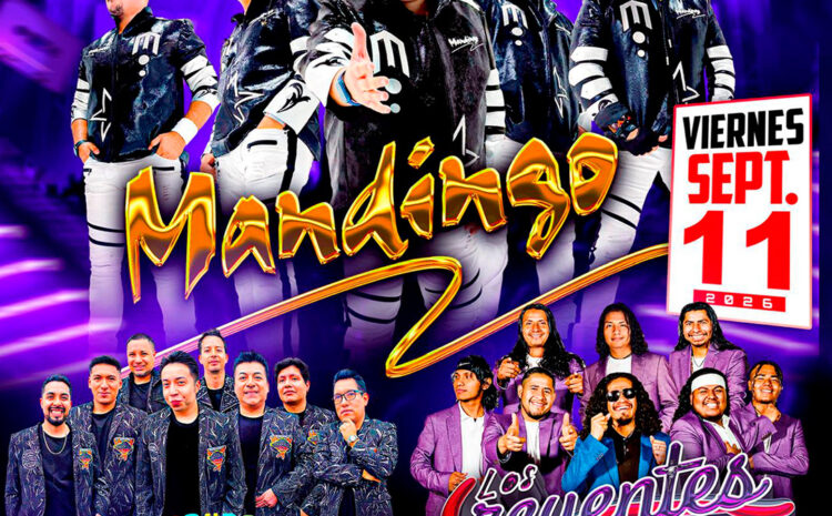  Mandingo – Mi Vallarta
